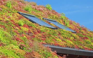 Pokesdown living roof systems