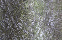 Pokesdown fibreglass roof work